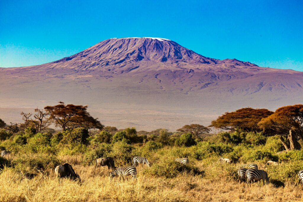 Photo by <a href="https://unsplash.com/@steve4c?utm_source=unsplash&utm_medium=referral&utm_content=creditCopyText">Stephan Bechert</a> on <a href="https://unsplash.com/photos/a-group-of-zebras-grazing-in-a-field-with-a-mountain-in-the-background-xQWelDCacZE?utm_source=unsplash&utm_medium=referral&utm_content=creditCopyText">Unsplash</a>